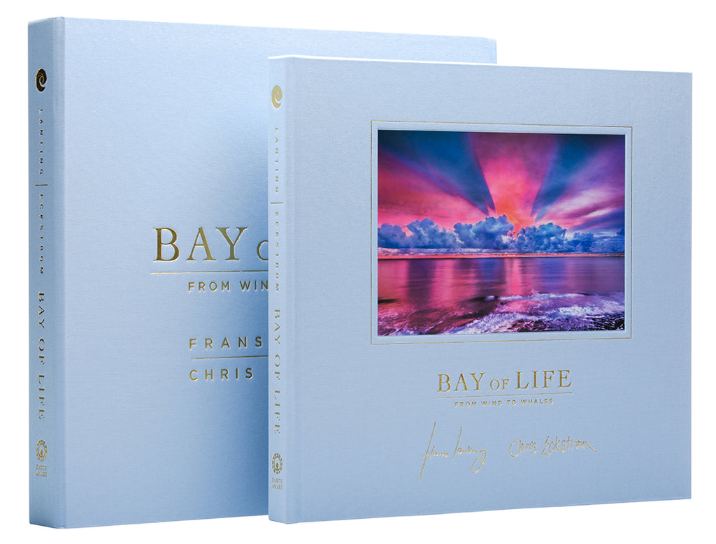 Bay of Life [Collector's Edition]