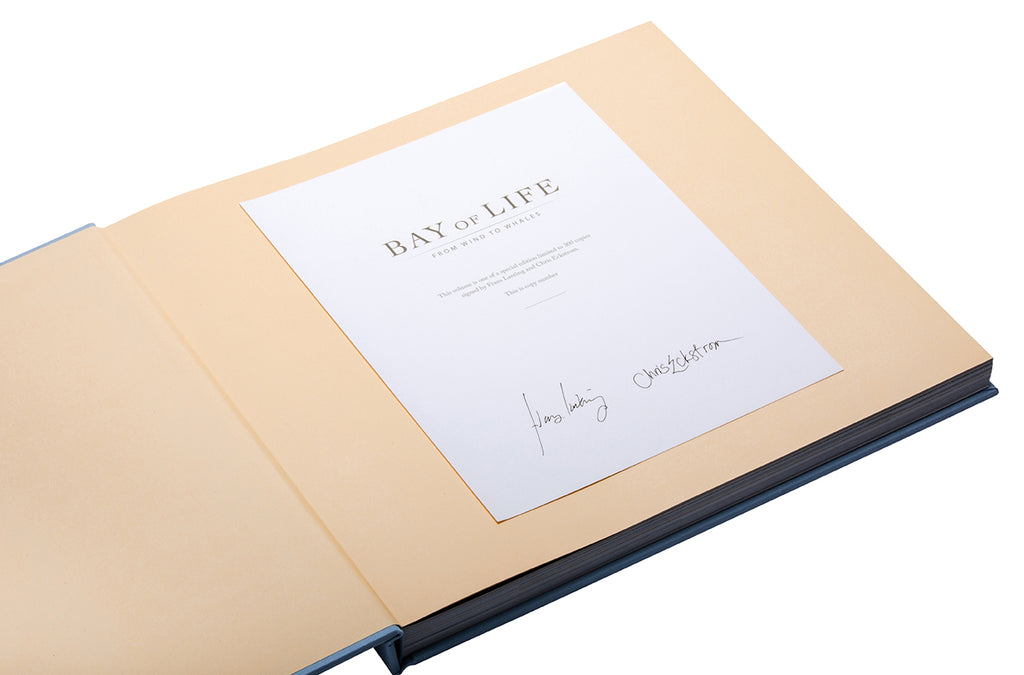 Bay of Life [Collector's Edition]