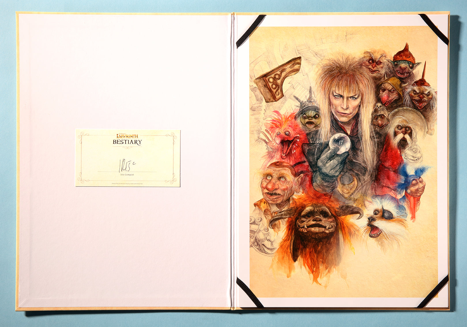 Jim Henson's Labyrinth Bestiary