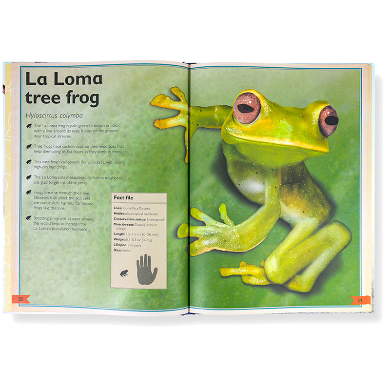 The Magnificent Book of Reptiles and Amphibians