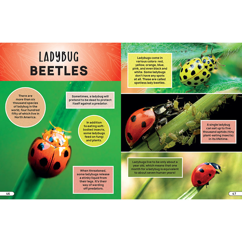 Smithsonian Explores: Bugs and Insects