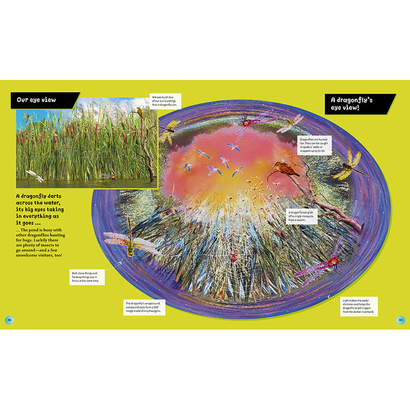 Eye View: Bugs and Other Tiny Creatures