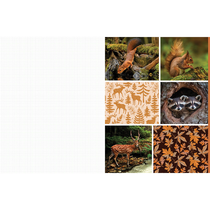 Cut and Collage Woodland Creatures