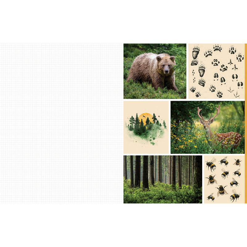 Cut and Collage Woodland Creatures