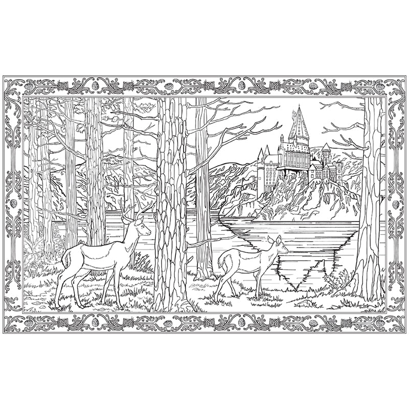 Harry Potter Coloring Book