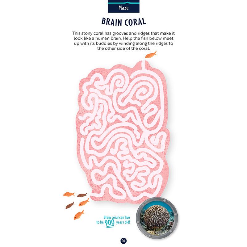 Undersea Explorer Activity Pack