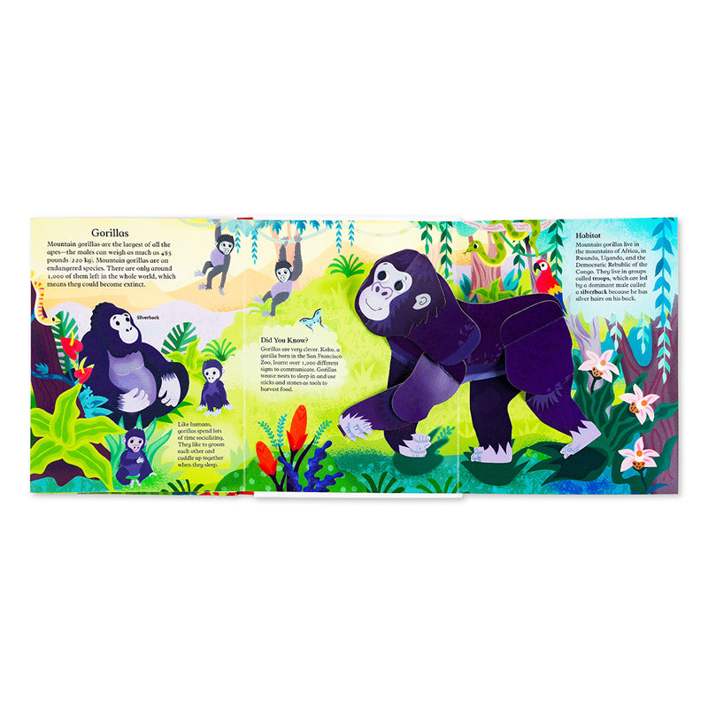 Pop-Up and Discover: Animals