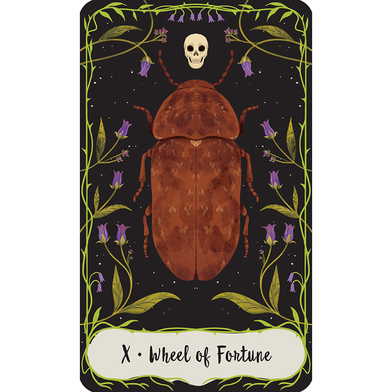 Practical Magic: The Motion Picture: The Official Tarot Deck and Guidebook
