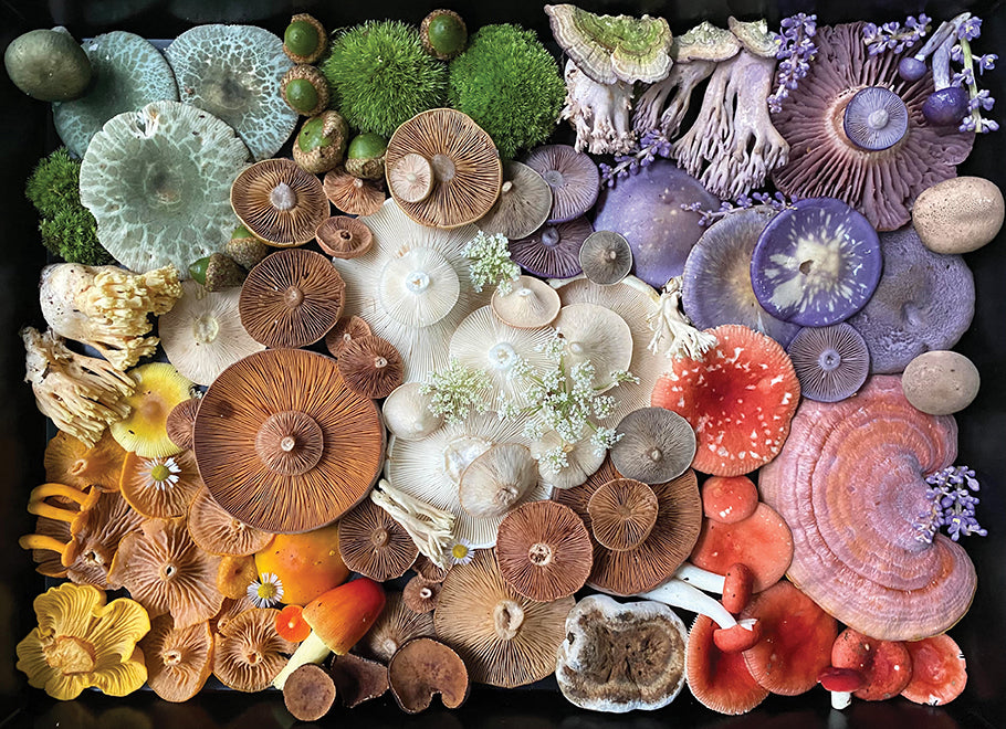 Mushroom Medley Jigsaw Puzzle