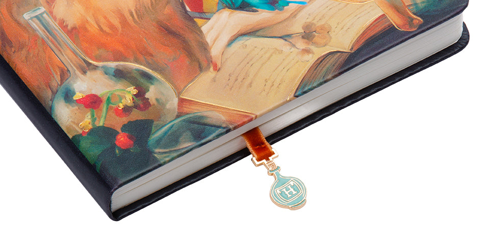 Harry Potter: Hermione Granger Journal with Ribbon Charm