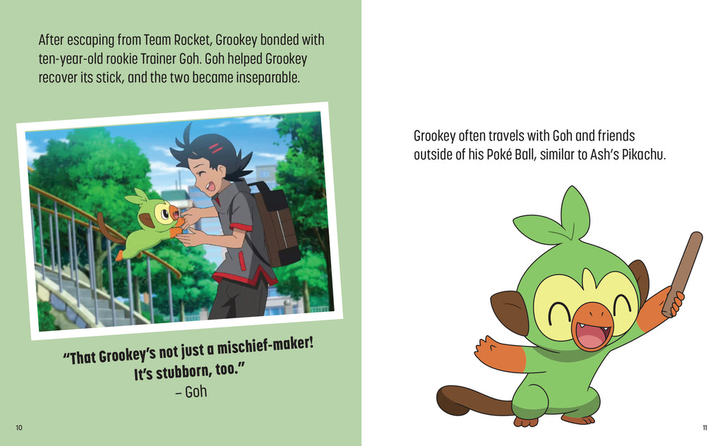 Pokémon: Trainer's Mini Exploration Guide to Galar
